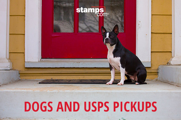 Dogs and USPS pickups