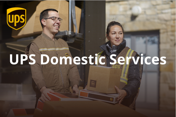 UPS domestic services